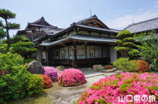 �ї����뉀�̃T�c�L