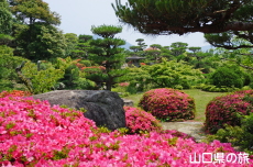 �ї����뉀�̃T�c�L