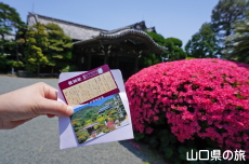 �ї����뉀�e���J