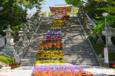 ���̉˂���