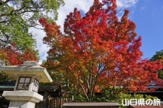 �F�����̍g�t