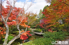 �F�����̍g�t