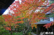 �F�����̍g�t