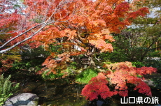 �F�����̍g�t