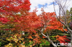 �F�����̍g�t