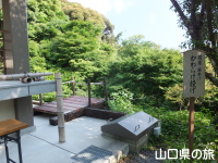 かわらけ投げ