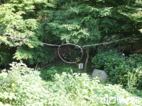 炯