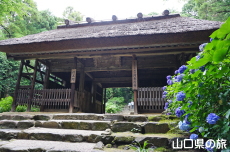 ����Ɏ��̂�������