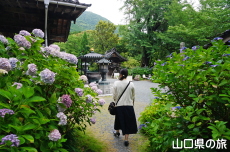 ����Ɏ��̎��z��