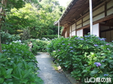 ����Ɏ��̎��z��