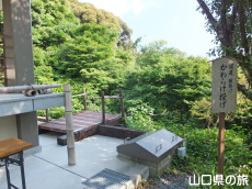 ����炯����