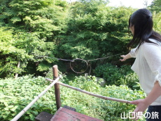 ����炯����