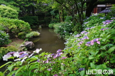 ����Ɏ��̎��z��