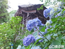 ����Ɏ��̎��z��