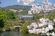 �ї����뉀�̃T�c�L