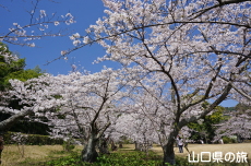 �ї����뉀�̍�