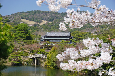 �ї����뉀�̍�