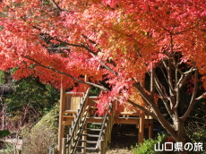 ����Ɏ��̍g�t