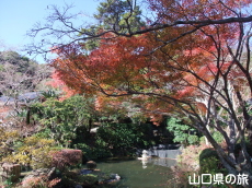 ����Ɏ��̍g�t