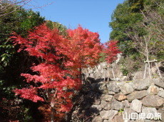 ����Ɏ��̍g�t