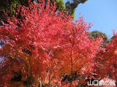 ����Ɏ��̍g�t