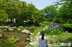 �ї����뉀�̉ԏҊ�