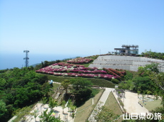 大平山の芝生広場