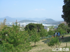 ���Y�G�q���A������������n��