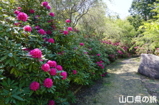 �F�������{�̂��Ⴍ�Ȃ�2018