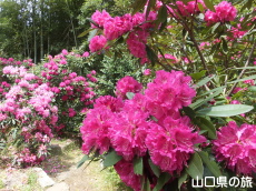 �F�������{�̂��Ⴍ�Ȃ�2014