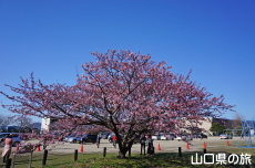 �H������