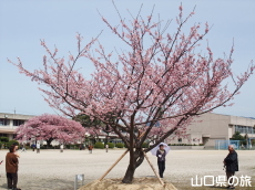 �H������