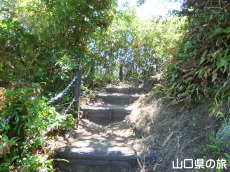 ぽんぽん山登山道