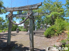 ぽんぽん山山頂の鳥居