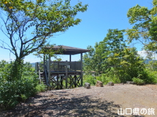 ぽんぽん山山頂の展望台