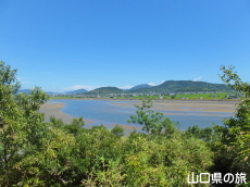 ぽんぽん山山頂の眺め