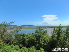 ぽんぽん山山頂の眺め