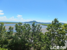 ぽんぽん山山頂の眺め