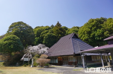 �ꕔ�̎}����