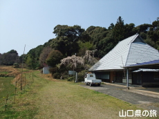 �ꕔ�̎}����