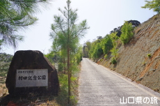 ���c�L�O����