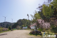 ���c�Ɖ��~��