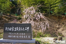 ���c�Ɖ��~��