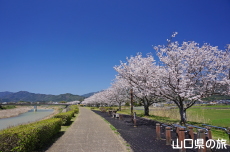 ���Â݌���