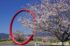 ���Â݌���