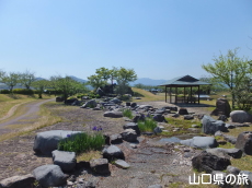 ���Â݌���