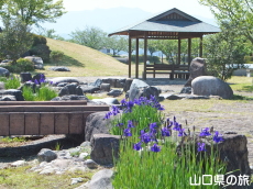 ���Â݌���