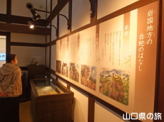 岩国シロヘビの館