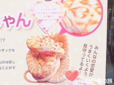 �⍑�V���w�r�̊�