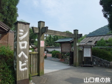 �⍑�V���w�r�̊�